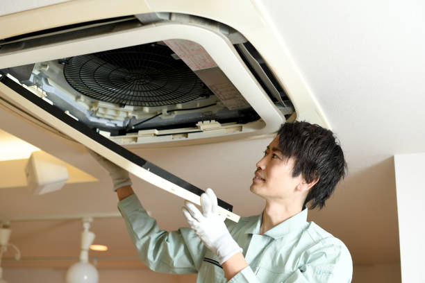 Best Air Duct Sanitizing Services  in Alpine, TX