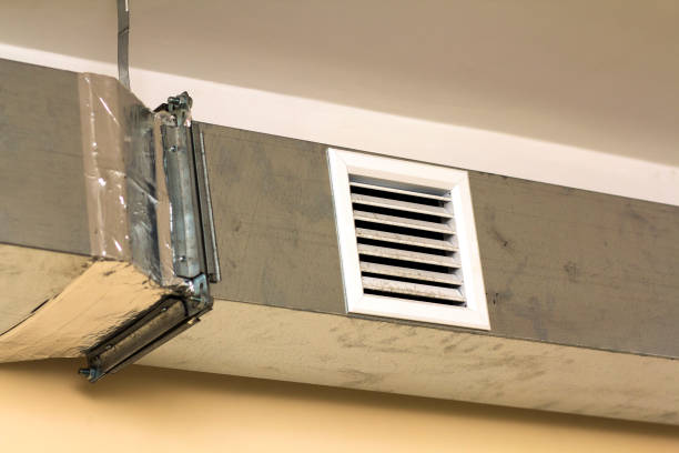 Best Local Air Duct Cleaning Services  in Alpine, TX